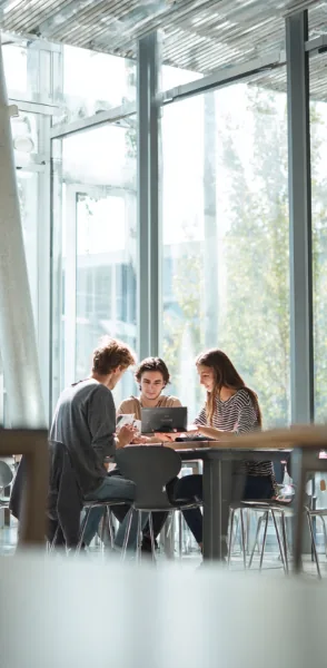 Formateur anglais professionnel