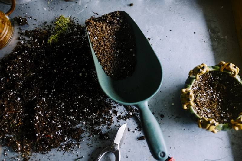 Vocabulaire anglais du jardinage - outils, plantes et potager