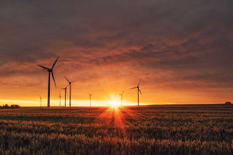 Vocabulaire anglais de l'énergie – panneaux solaires et éoliennes